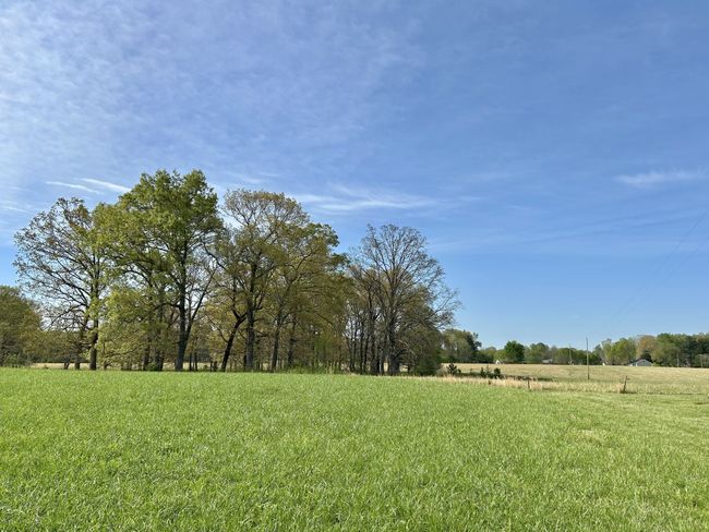 1110 Pomroy Rd, House other with 3 bedrooms, 2 bathrooms and 2 parking in Manchester TN | Image 47