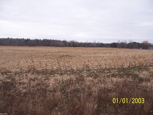 0 Lapeer Rd Road, Kimball Township, MI, 48074 | Card Image
