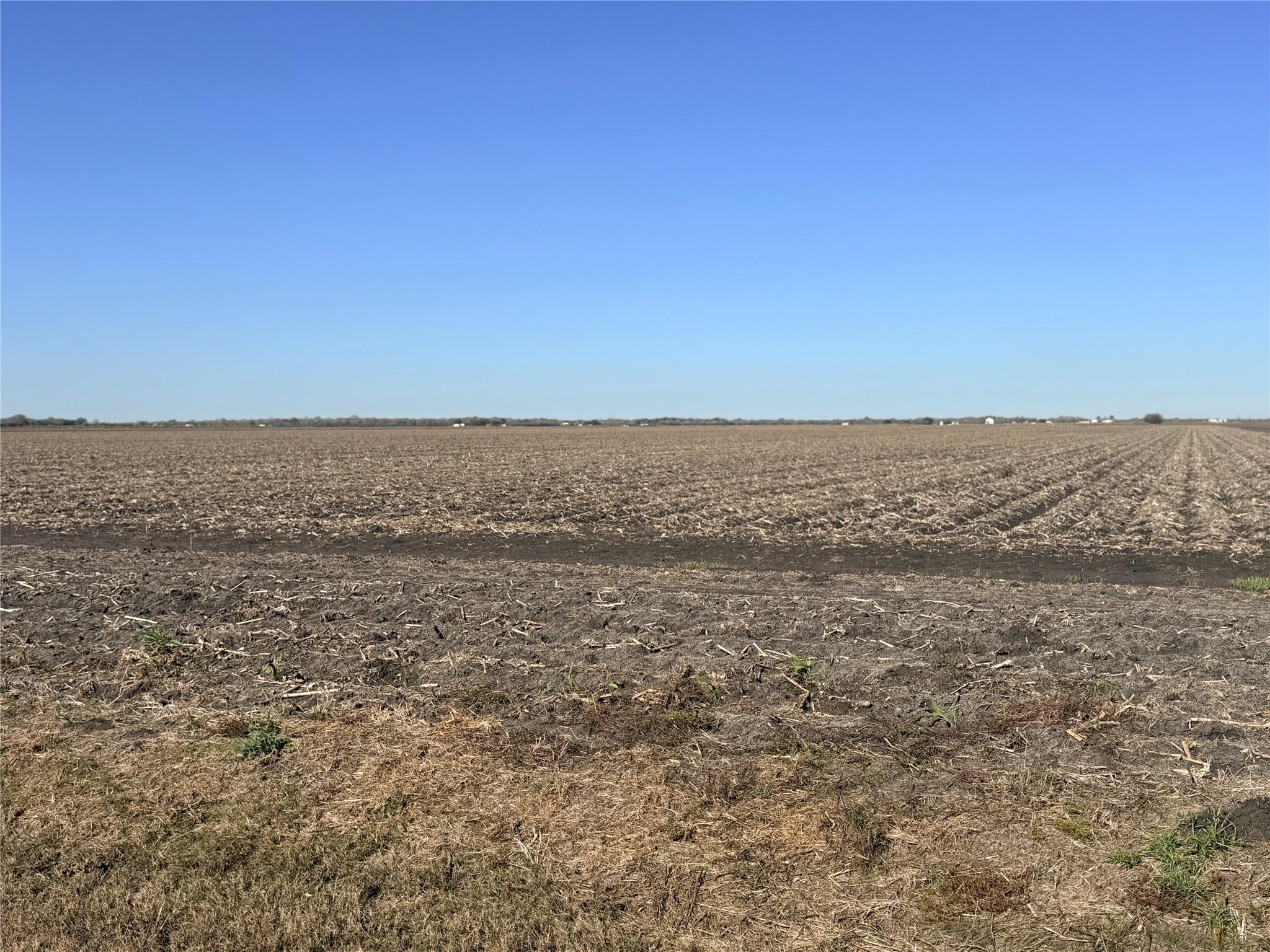 Farm in Kendleton 2