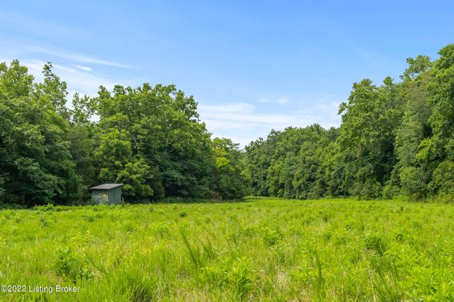 7903 Organ Creek Rd, Home with 0 bedrooms, 0 bathrooms and null parking in Pendleton KY | Image 19