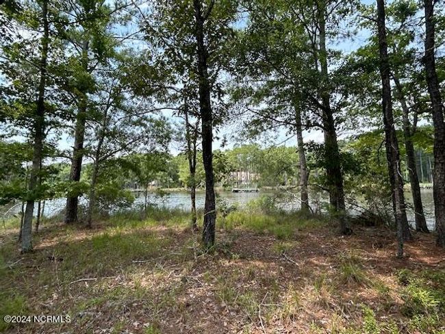 1039 Pasture Point Rd, House other with 3 bedrooms, 3 bathrooms and 2 parking in Merritt NC | Image 75