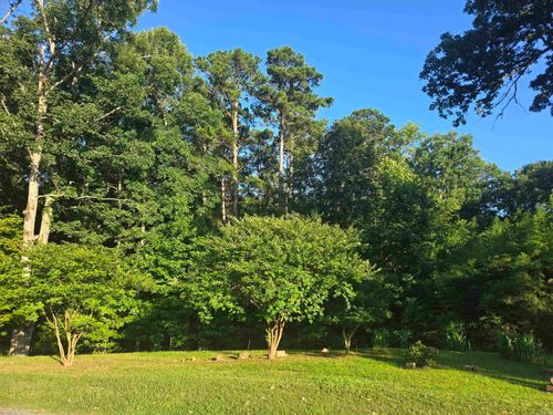 877A Makaha Point, Hot Springs, AR, 71913-0000 | Card Image