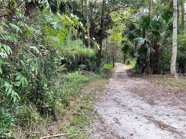 3067 Ne 102 Nd Avenue Rd, House other with 1 bedrooms, 1 bathrooms and null parking in SILVER SPRINGS FL | Image 89