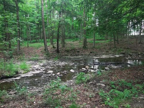 0 N Lake Rd, Carthage, NY, 13619 | Card Image