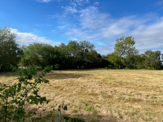 00 Fm 70, Home with 0 bedrooms, 0 bathrooms and null parking in Sandia TX | Image 4