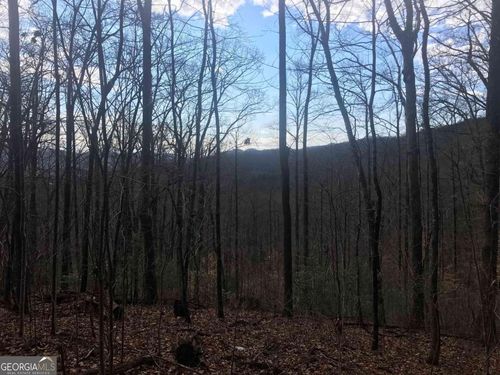 0 Shadow Mountain Dr, Dillard, GA, 30537 | Card Image