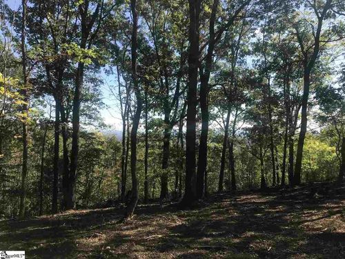 143 Raptor Way, Landrum, SC, 29356 | Card Image