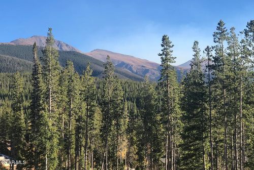 407 Lupine Lane, Winter Park, CO, 80482 | Card Image