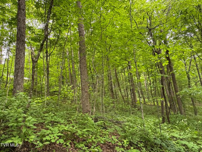 649 Sugar Run Rd, House other with 4 bedrooms, 3 bathrooms and null parking in Jonesville VA | Image 22