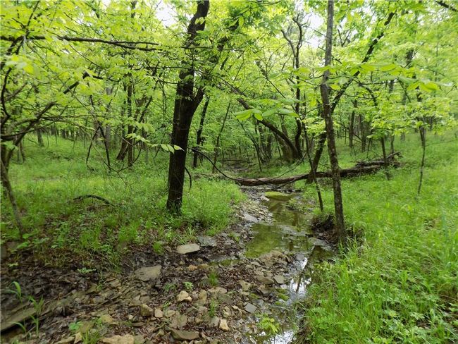 1267 Rock Creek Rd, Home with 0 bedrooms, 0 bathrooms and null parking in Williamsburg KS | Image 9