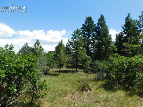 6447 Thunderbird Road, Larkspur, CO, 80118 | Card Image