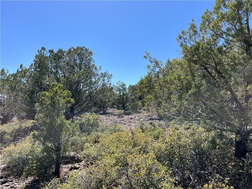 243 N Kit Fox Trl, Kingman, AZ, 86401 | Card Image