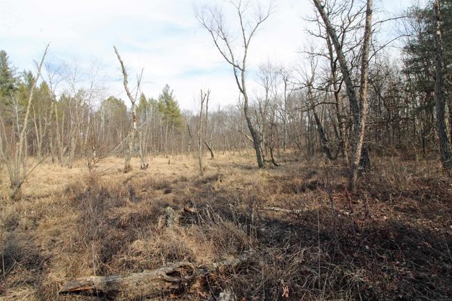 7750 Pine Rd, House other with 3 bedrooms, 2 bathrooms and null parking in ARENA WI | Image 47