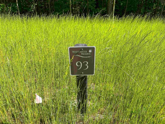 Lot 93 Laurel Loop   Whitewater Preserve Loop, Home with 0 bedrooms, 0 bathrooms and null parking in Bruceton Mills WV | Image 7