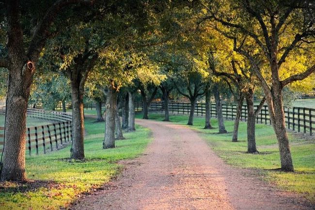 658 Fordtran Rd, Home with 6 bedrooms, 11 bathrooms and 6 parking in New Ulm TX | Image 6