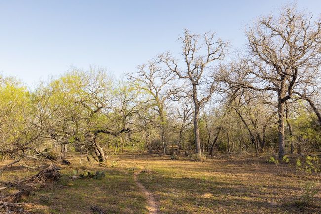View of nature | Image 39