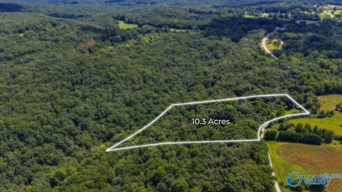 10.3 Acres 3rd Ave E, Grant, AL, 35747-7301 | Card Image