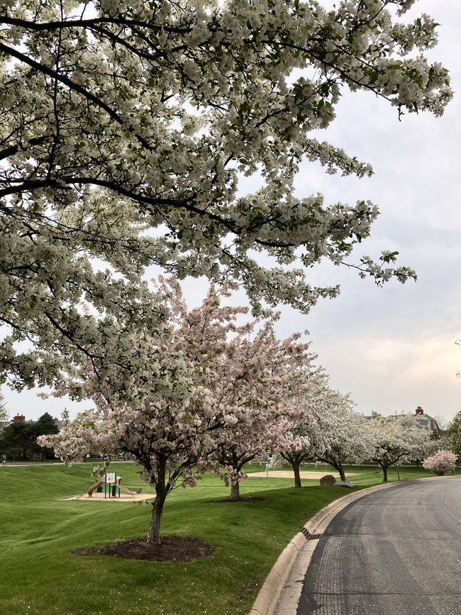 APT-3C - 4316 W Shamrock Ln, Condo with 2 bedrooms, 2 bathrooms and 2 parking in McHenry IL | Image 24