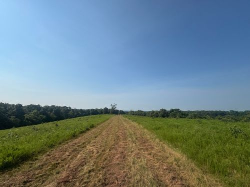 000 Buckeye Ln, Stella, MO, 64867 | Card Image