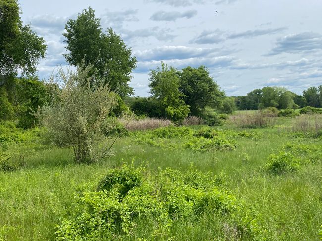 151 Sand Rd, Home with 0 bedrooms, 0 bathrooms and null parking in Canaan CT | Image 12