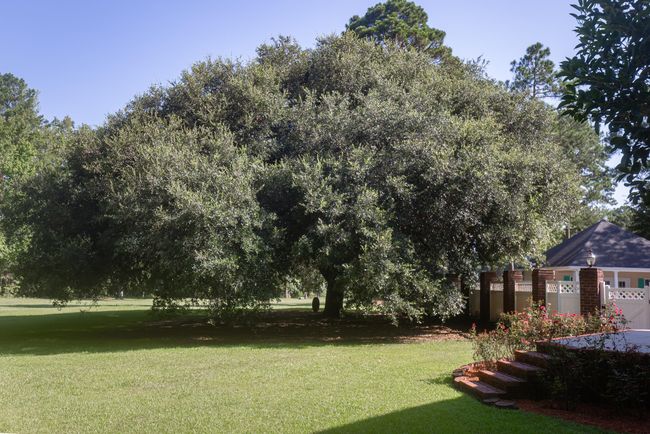 32 Cockadoodle Loop, House other with 5 bedrooms, 5 bathrooms and null parking in Bamberg SC | Image 38