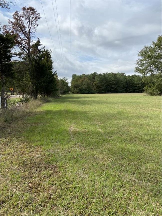 0 Highway 41 S, Home with 0 bedrooms, 0 bathrooms and null parking in Foreman AR | Image 9