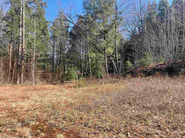 63 New Boston Rd, Home with 0 bedrooms, 0 bathrooms and null parking in Francestown NH | Image 22