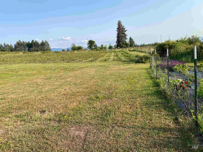 View of yard featuring a rural view | Image 26