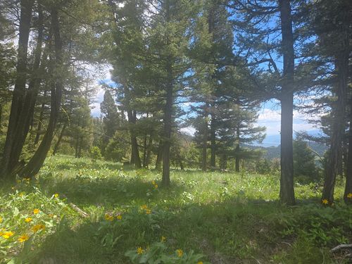 2 Big Sky Ridge Ln, Drummond, MT, 59832 | Card Image