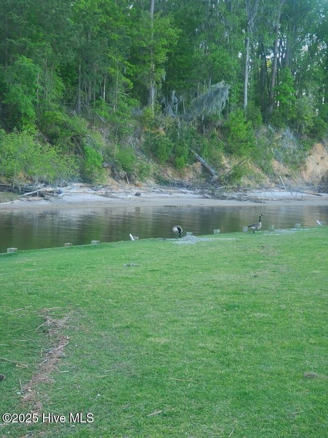 45 Evergreen, Home with 0 bedrooms, 0 bathrooms and null parking in Blounts Creek NC | Image 6