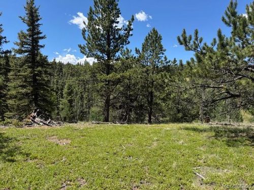 209 Kenosha Cir, Divide, CO, 80814-9685 | Card Image