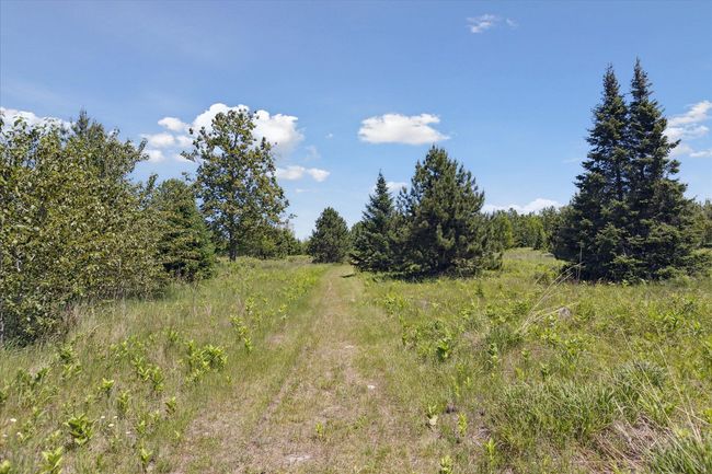 Trails | Image 76