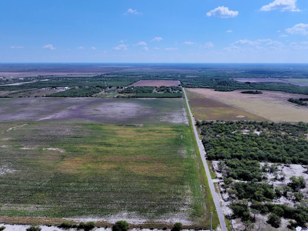 Land in Kingsville 3