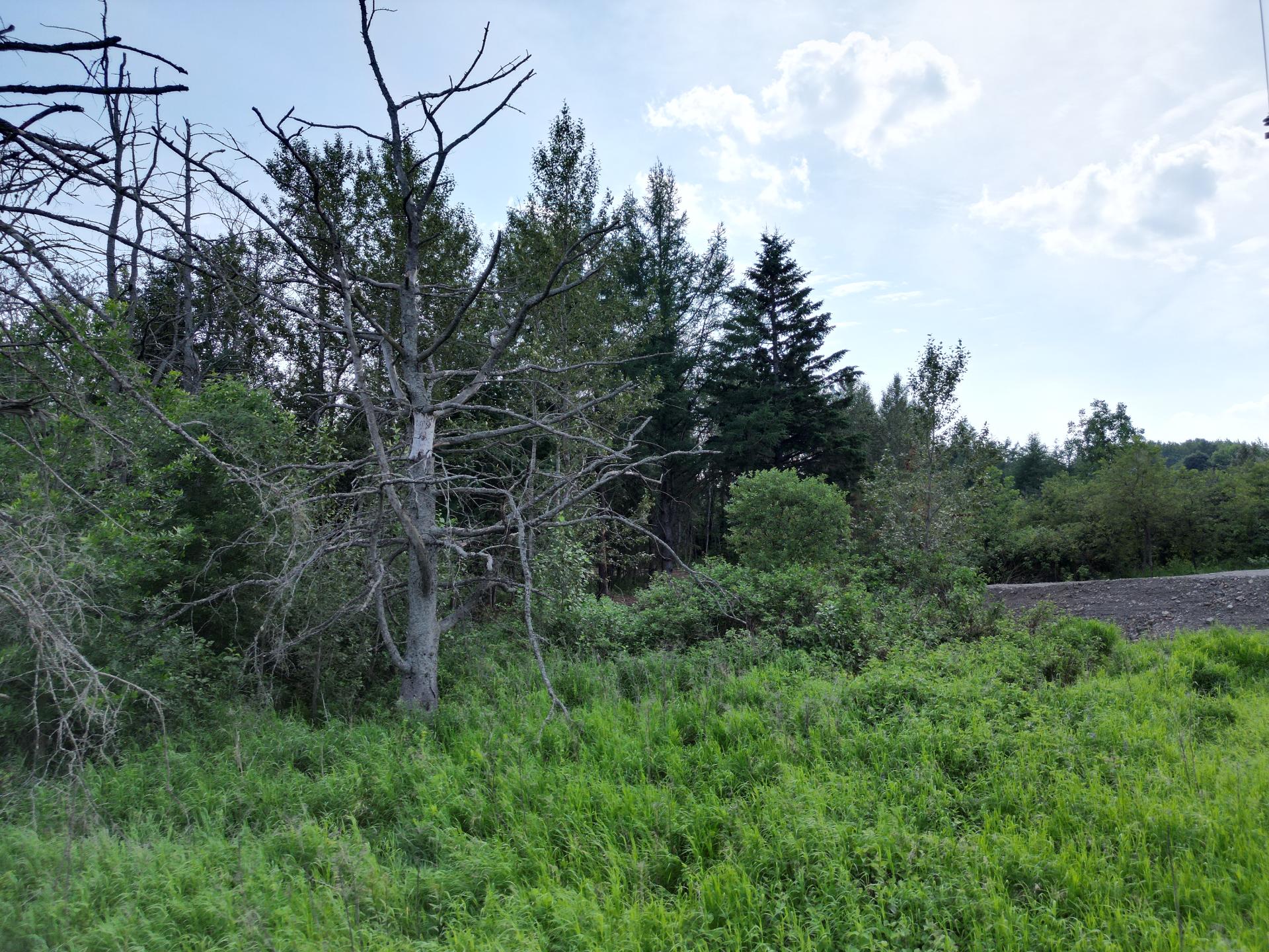 Land in Unknown 5