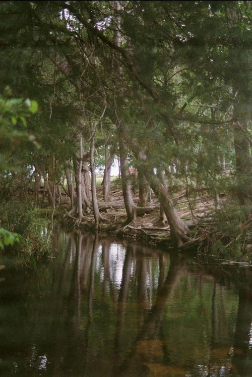 1532 County Road 250, Weimar, TX, 78962-4545 | Card Image