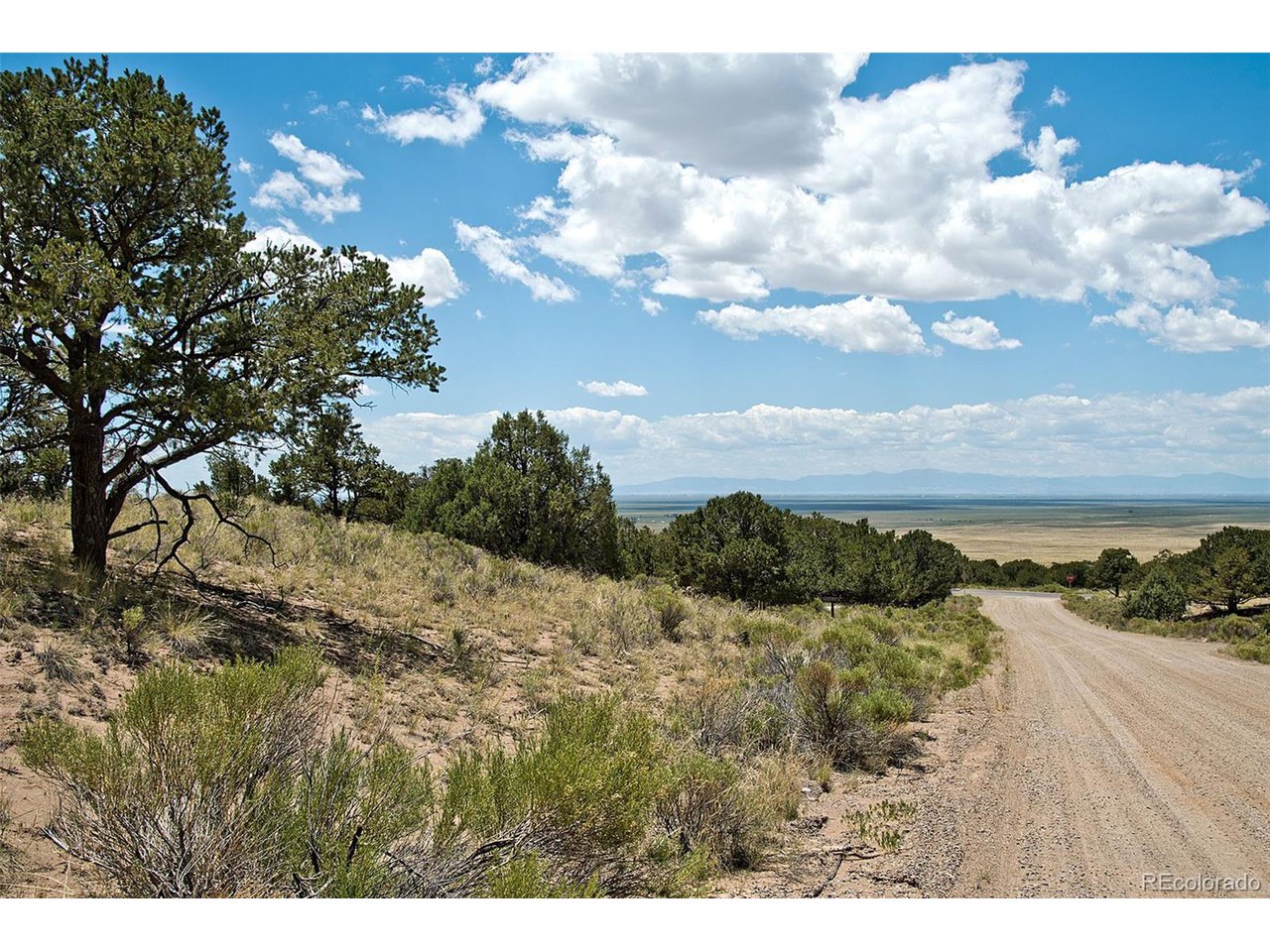 Land in Crestone 5