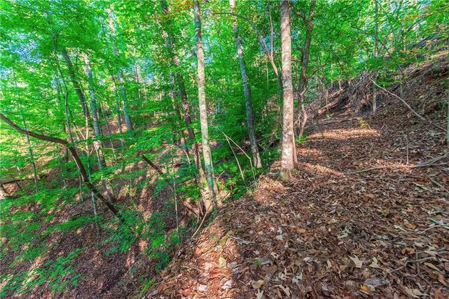 50 Jakes Landing Way S, Home with 0 bedrooms, 0 bathrooms and null parking in Ellijay GA | Image 27