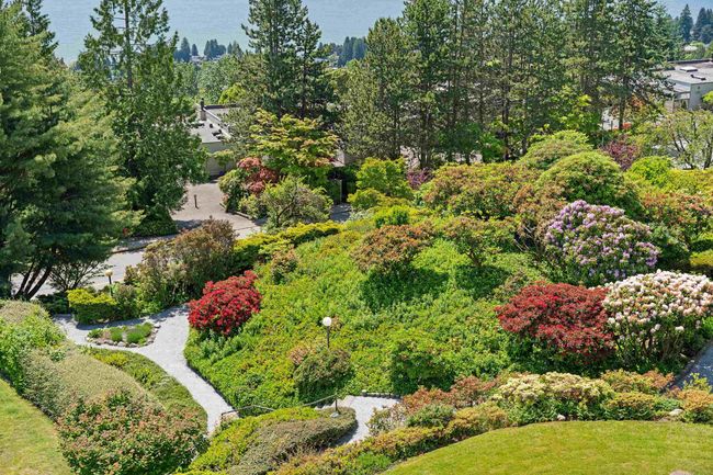 Aerial view of a heavily wooded area | Image 23