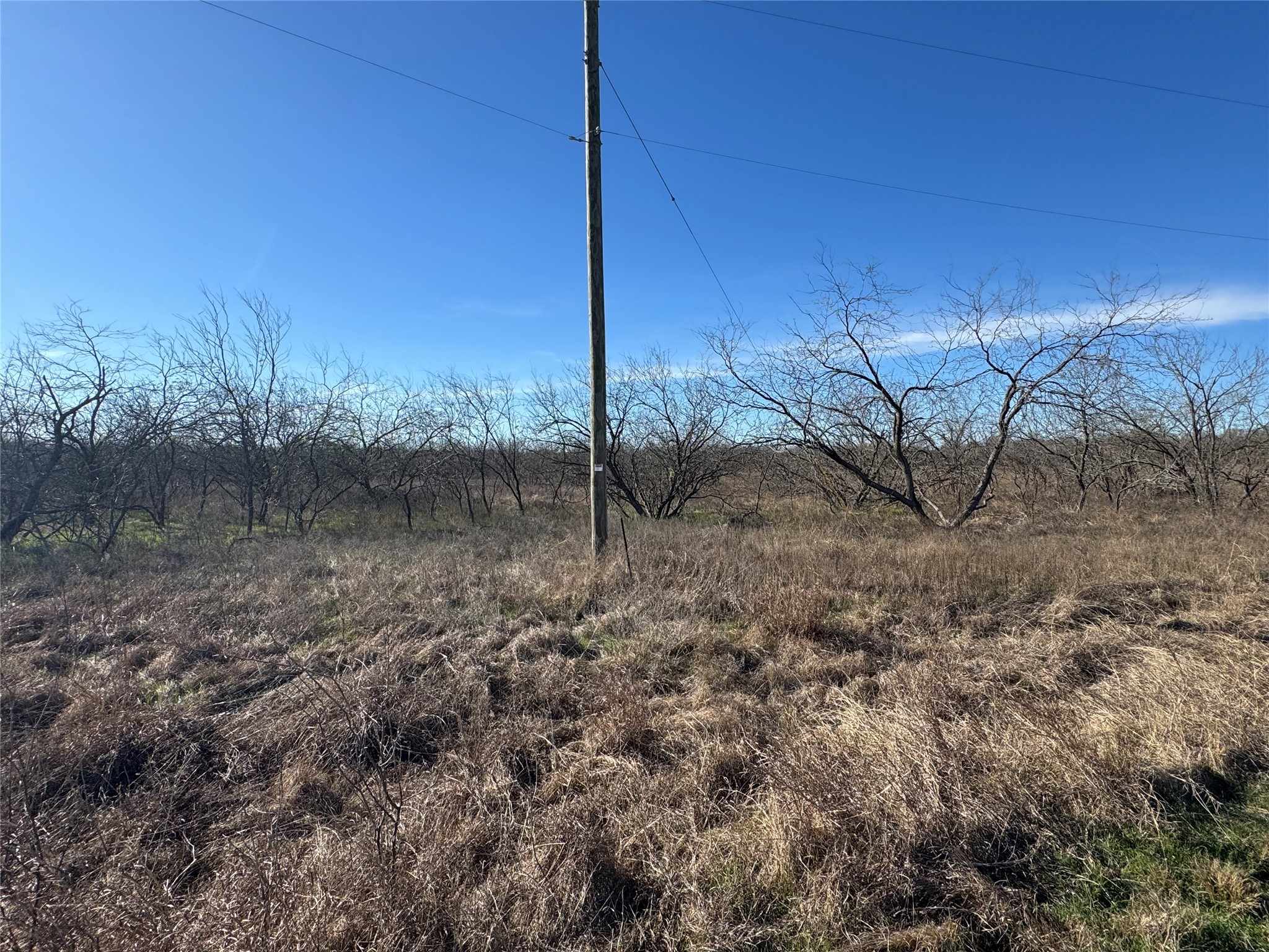 Land in Wortham 5