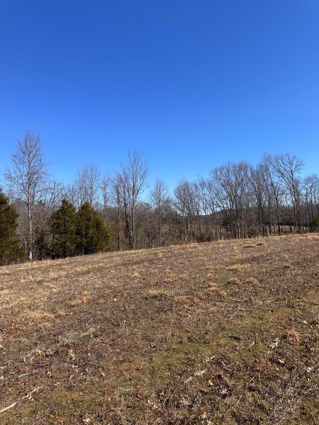 265 - 24265 S Mohawk Rd, Home with 0 bedrooms, 0 bathrooms and null parking in Mohawk TN | Image 40