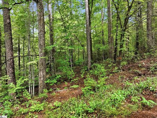 231 Cherokee Hills Dr, Pickens, SC, 29671-8618 | Card Image