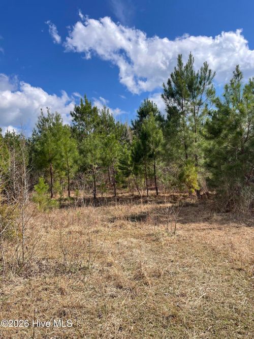 0 Split Dr Se, Bolivia, NC, 28422 | Card Image