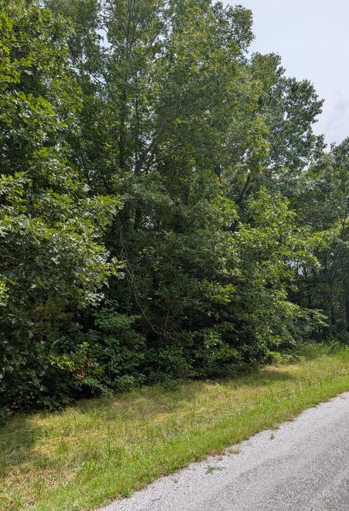 000 Ridgeview Pt, Cape Fair, MO, 65624 | Card Image