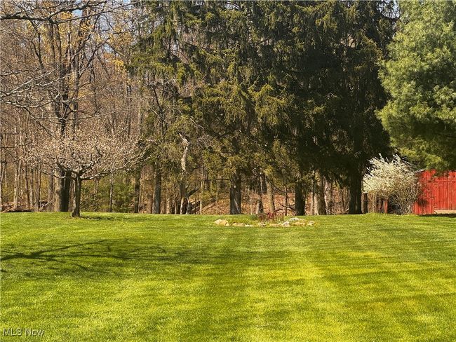 View of yard | Image 36