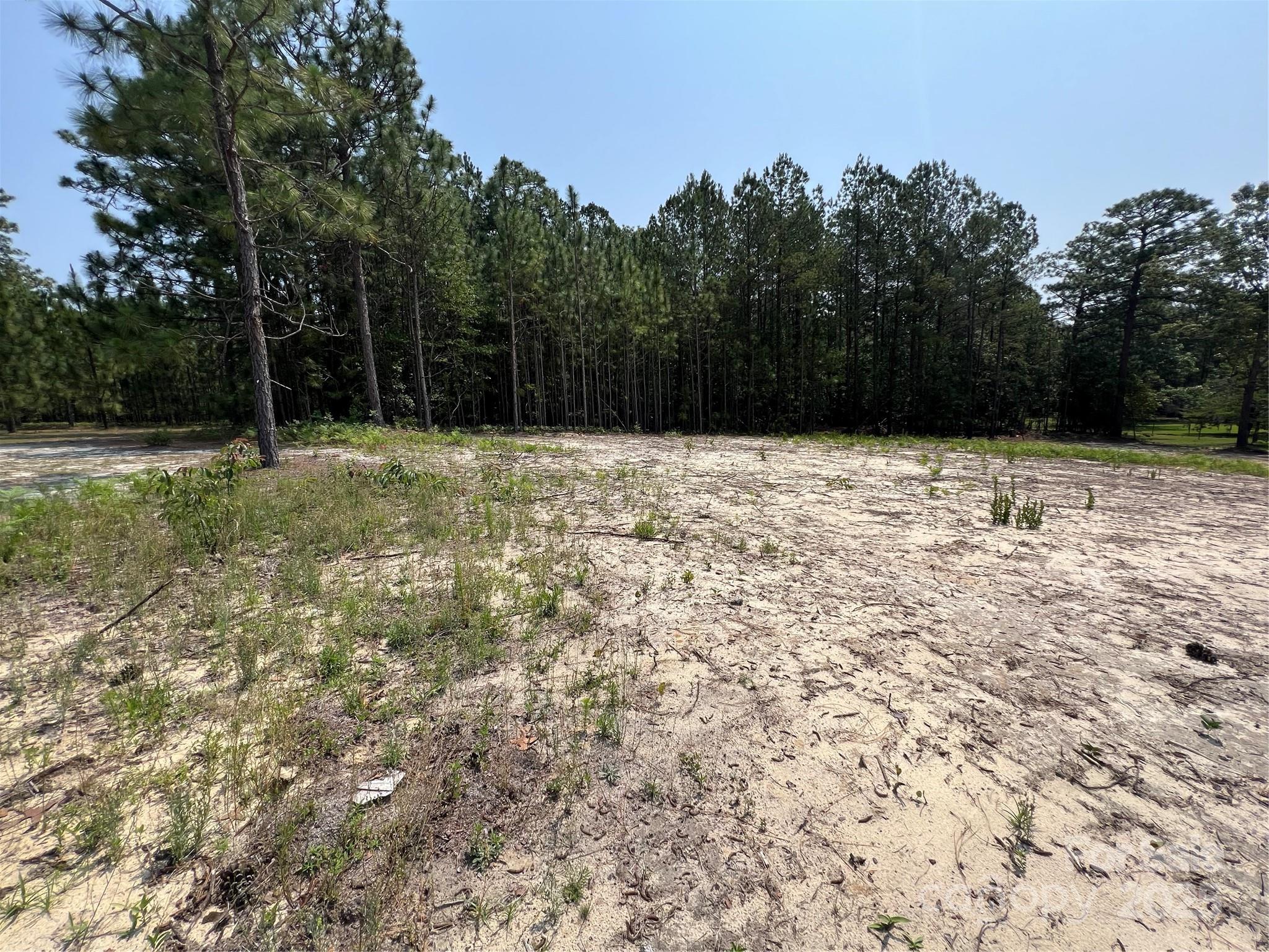 Land in Hartsville