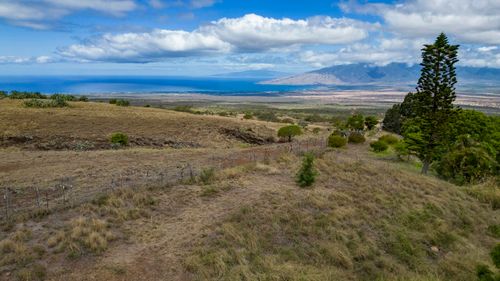 a-1401 Naalae Rd, Kula, HI, 96790-7748 | Card Image