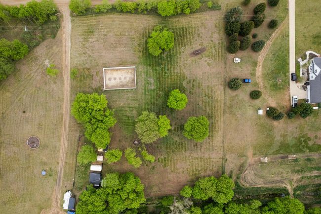 Overhead of the trees and foundation | Image 18