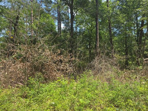 12949 Cedar Tree Ct, Plantersville, TX, 77363 | Card Image