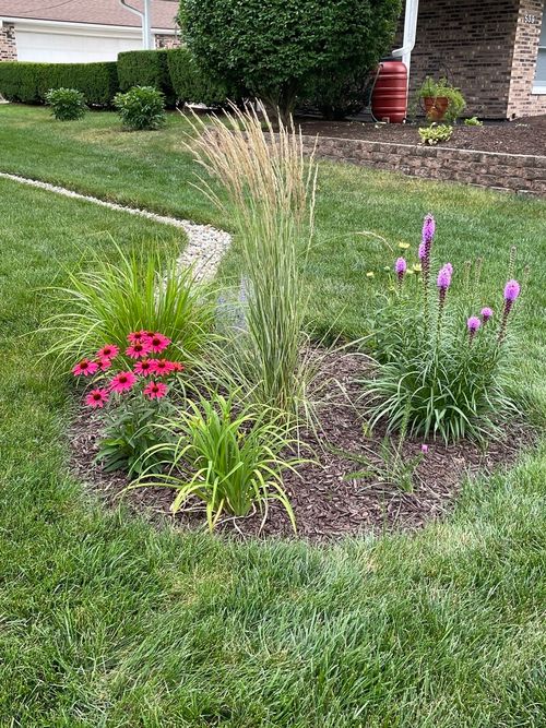 529 Meadow Ln, Lisle, IL, 60532-2454 | Card Image