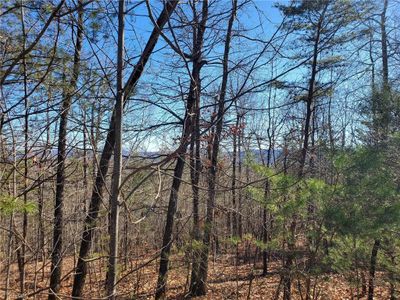 Lot 5 Sweetwater Road, Home with 0 bedrooms, 0 bathrooms and null parking in Boomer NC | Image 1